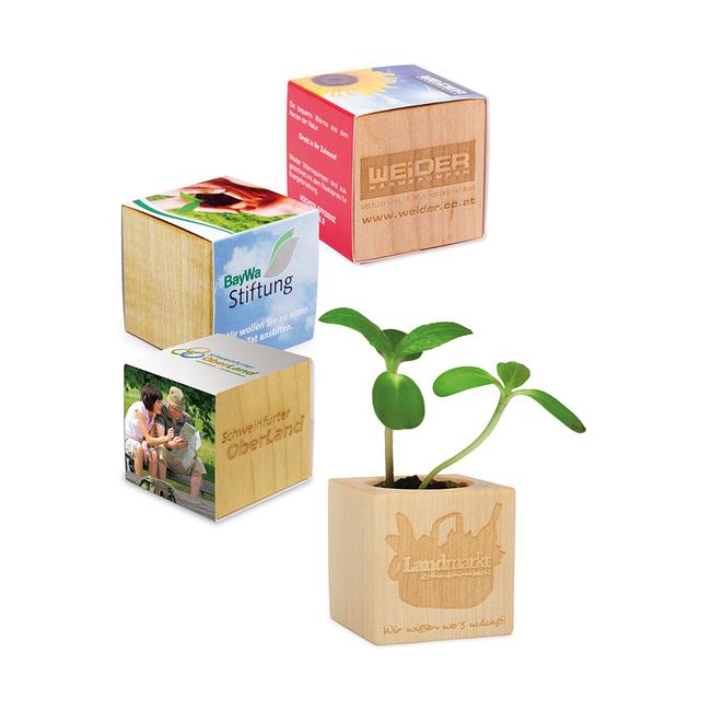 Materiale promotionale ecologice - Logo